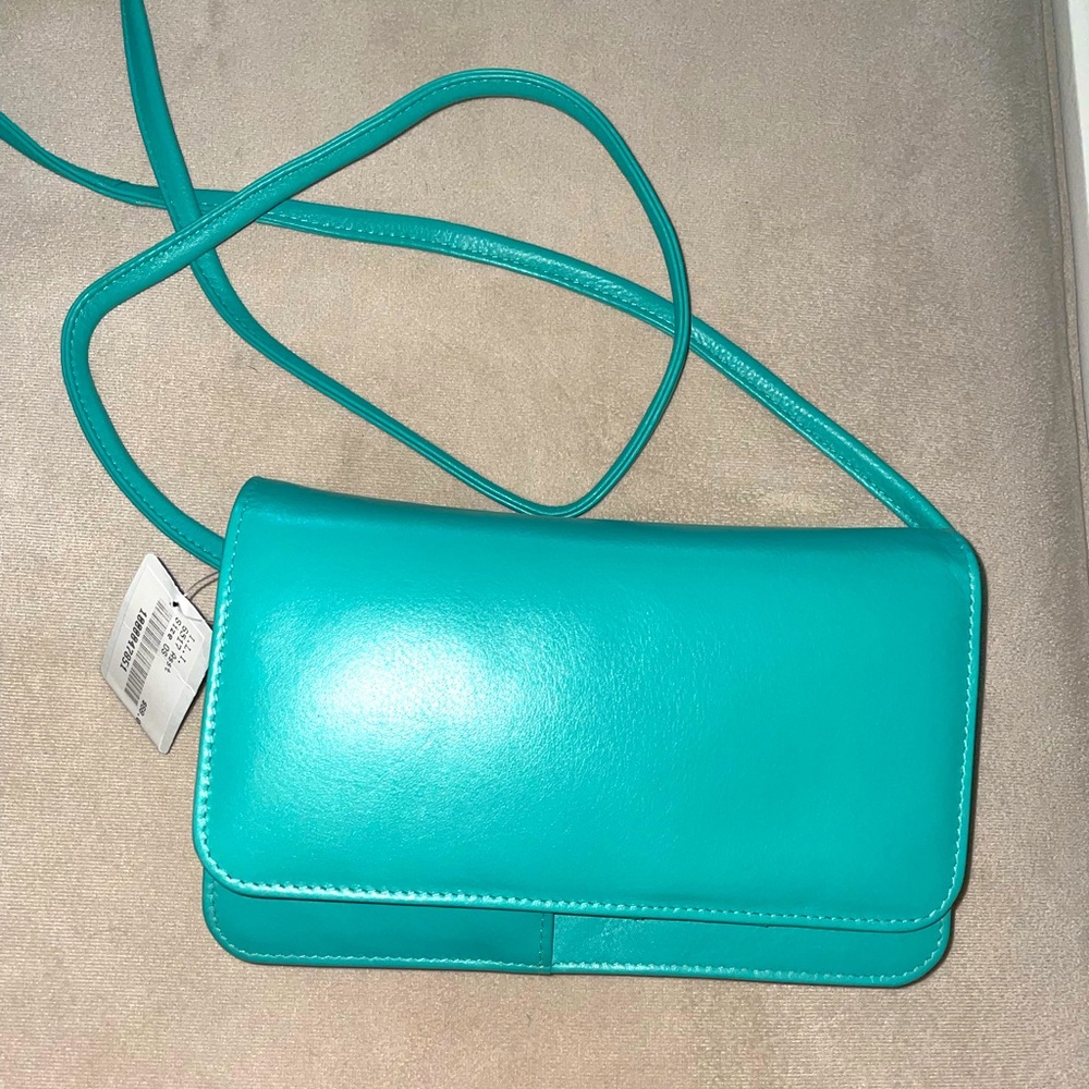 NWT All in one teal crossebody